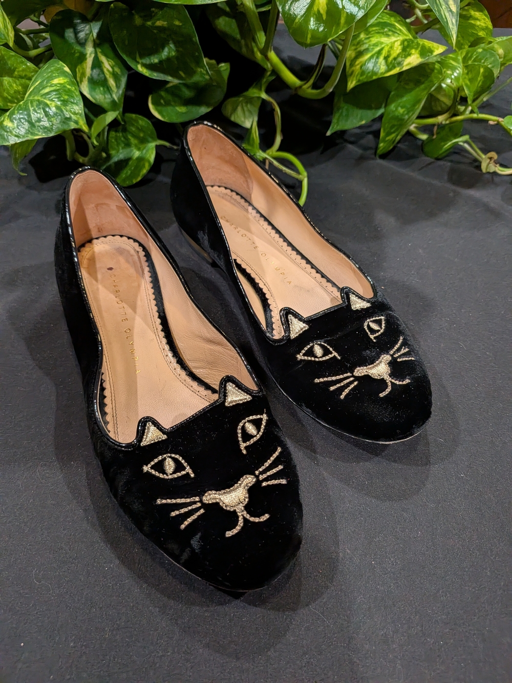 Charlotte Olympia Black Velvet Kitty Embroidered Women's Flats
